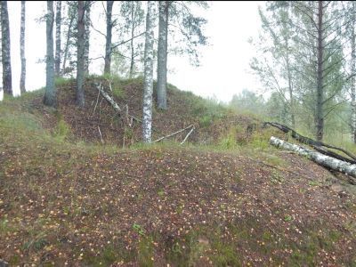 Дерево-земляная огневая точка