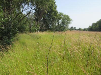 Памятное место, где 28 августа 1942 г. в тылу врага погиб секретарь обкома партии Г.И. Пайтеров (1903-1942 гг.)