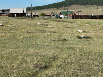 Кладбище поселений Косая Степь и Куреть (некрополь)