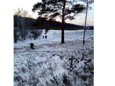 Булгэн толгэн тайлаган