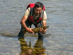 Рыбалка на реке Туолба