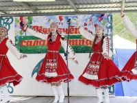 Нижнеулу-Елгинский сельский многофункциональный клуб