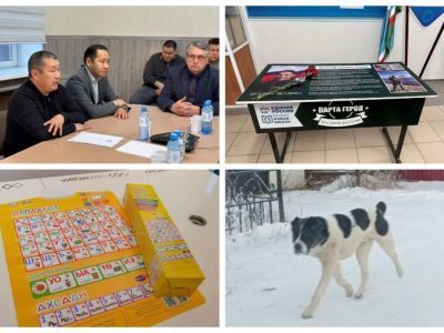 Что произошло в Якутии 14 ноября: обзор событий за день