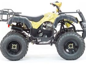 Квадроцикл MOTOLAND 250 Adventure (2021 Г.)