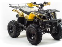 Квадроцикл MOTOLAND 150 Maverick