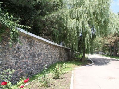 Лечебный парк