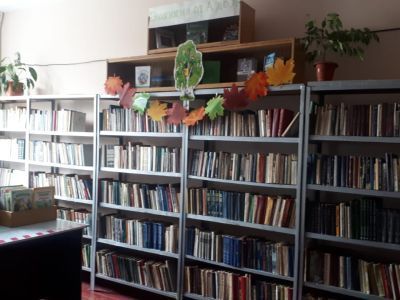 Библиотечный филиал с. Каменка