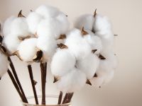 Декоративное украшение Хлопок/Cotton II