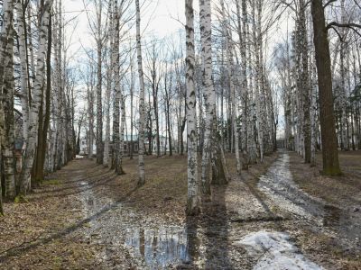 Усадебный парк