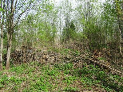 Церковь Вознесения, XIX в.