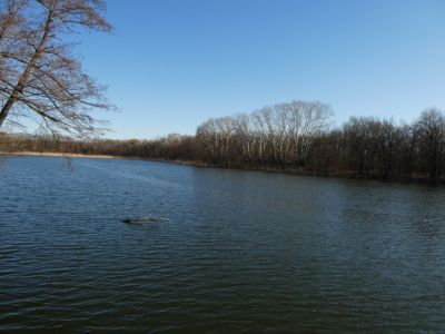 Озеро Старое