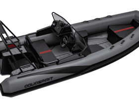 Лодка РИБ AQUASPIRIT 530