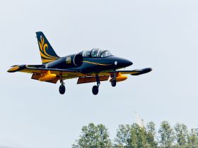 Полет на истребителе L-39