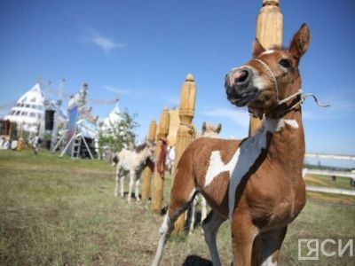 Что можно и нельзя делать 13 июня 2024 года: народные приметы и традиции