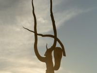 Парк «Тужи»