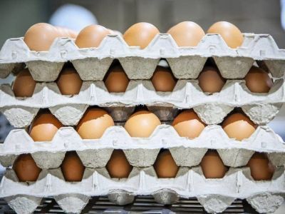 В Госкомцен сообщили предельную цену на куриные яйца в Якутске