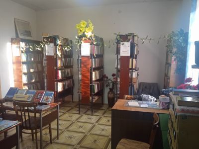 Анишинская сельская библиотека-филиал