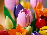 Botanicals 11501 Конструктор Букет тюльпанов