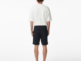 Мужские хлопковые бермуды Lacoste