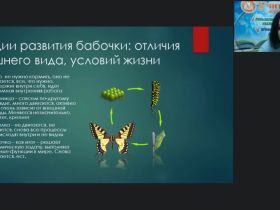 Международный вебинар "Монтессори-педагогика для детей от 3 до 6 лет: основные направления образовательной работы"