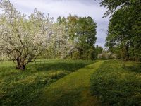 Музей-усадьба Ф. М. Достоевского «Даровое»