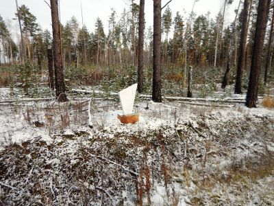 «Братская могила борцов за установление Советской власти»