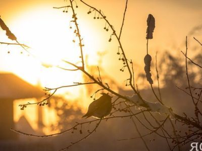 РТРС сделает воздействие весенней интерференции незаметным для телезрителей