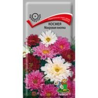 Космея Махровая кнопка