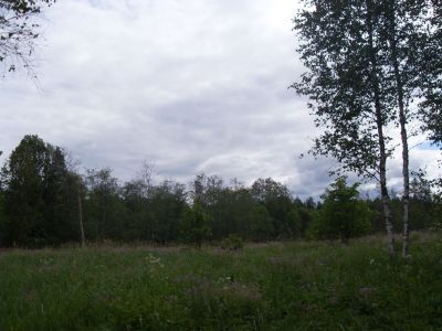 Усадьба В.И. Грессер. Парк