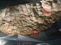 Историко-культурный музей-заповедник «Шульган-Таш»