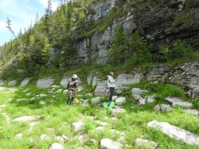 В Якутии ученые собрали уникальные образцы кембрийского периода