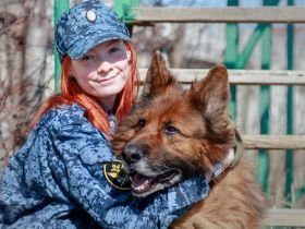 В исправительной колонии Якутии прошли тренировки служебных собак