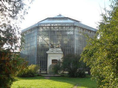 Оранжерея пальмовая