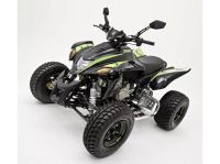 Квадроцикл DINLI 450 Special S