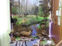 Ромненский историко-краеведческий музей