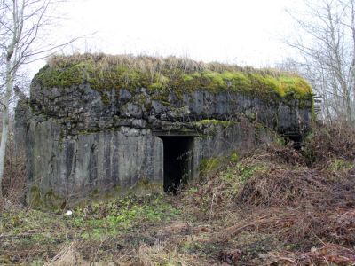 Памятник-дот и стела на рубеже обороны советских войск в 1941 г. На доте установлена памятная доска со схемой Кингисеппского укрепрайона на р. Луге