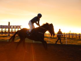 Стали известны победители конных скачек на призы главы Якутии