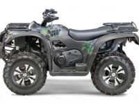 Квадроцикл STELS ATV 650 YL Leopard EFI (2026) (ПСМ)