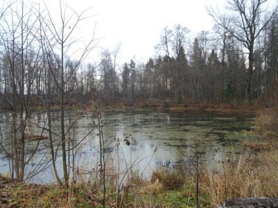 Парк с прудами