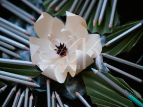 Набор карандашей цветных Малевичъ "GrafArt PRO" 40 новых цветов, 2 издание