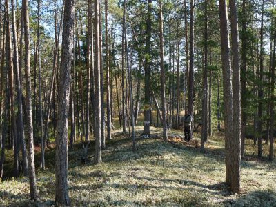 Святилище Ай-Пим-Очит-Вутых-Кот-Мых