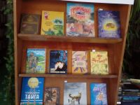 Библиотека села Нижний Стан