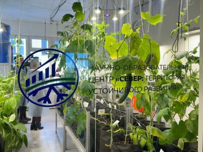 Опытно-экспериментальную теплицу открыли в школе Якутска