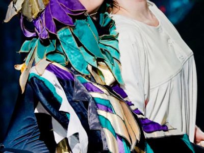 Финист ясный сокол