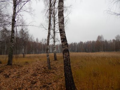 Памятное место, где в 1942 г. шли ожесточенные бои советских воинов-десантников с гитлеровцами
