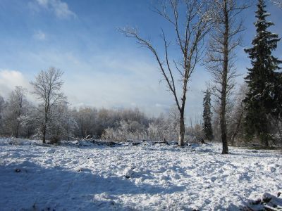 Усадьба загородная "Уткина Нива"
