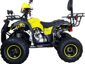 Квадроцикл AVANTIS Hunter 8M Lux 125 2017