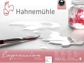 Альбом-склейка для акварели Hahnemuhle "Expression" 40х50 с/з 20 л 300 г 100% хлопок