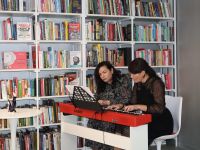 Модельная библиотека «Своя территория»