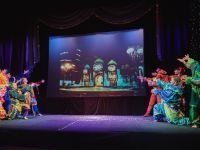 Новосибирский областной театр кукол